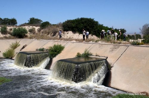 bassin de stockage des eaux usées et traitées (BEUT)