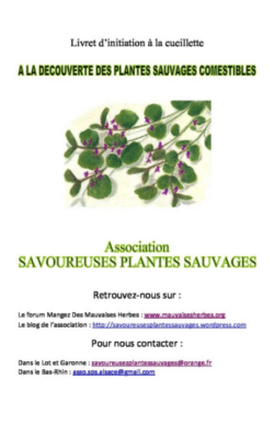 Plantes Sauvages Comestibles