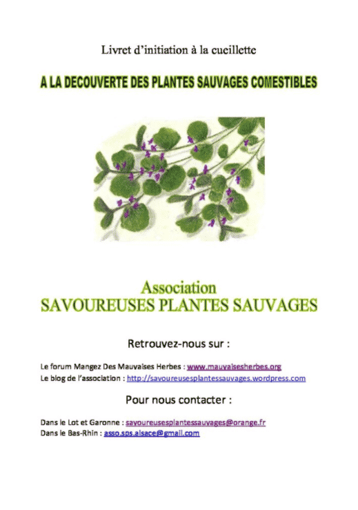 Plantes Sauvages Comestibles