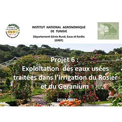 Exploitation des EUT dans l’irrigation du Rosier et du Geranium