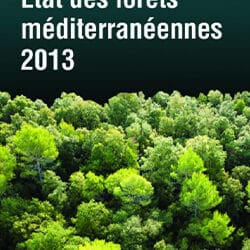 Etat des forêts méditerranéennes