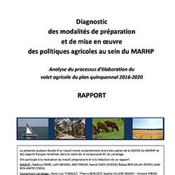 Diagnostic des modalités de préparation et de mise en œuvre des politiques agricoles au sein du MARHP