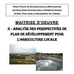 Plan Développement Agriculture Locale (version définitive)