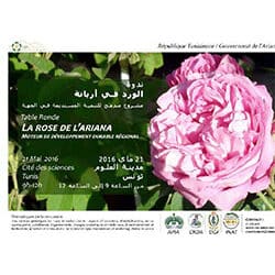 Conservation et Promotion de la Rose