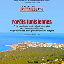 FTDES n°6. Forêts tunisiennes : Entre marginalité territoriale et valorisation des ressources naturelles