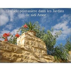 Ballade printanière dans les jardins de Sidi Amor