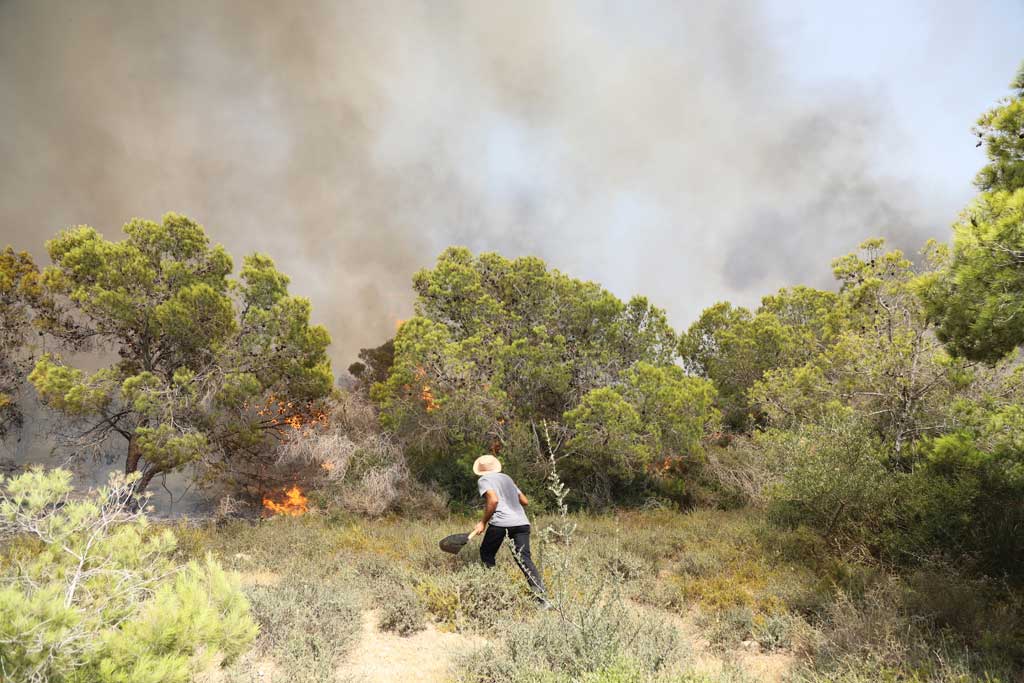 feux de forêt au GDA Sidi Amor Tunisie