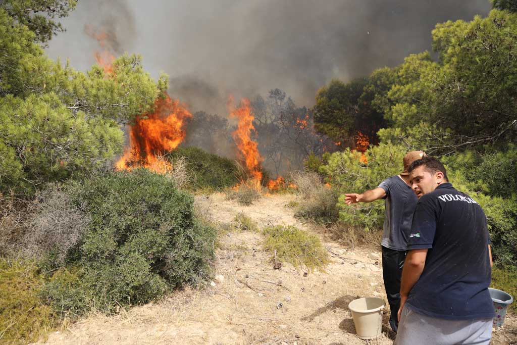 feux de forêt au GDA Sidi Amor