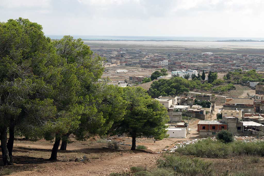 les forêts périurbaines en Tunisie : la forêt sidi amor
