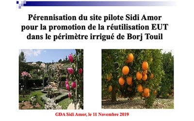 Pérennisation du site pilote Sidi Amor pour la promotion de la REUT dans le périmètre irrigué de Borj Touil